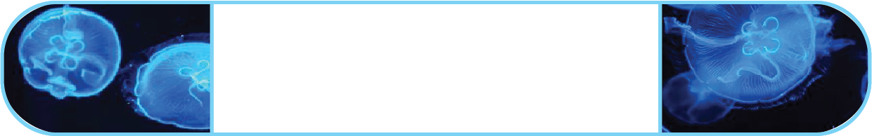 3d title